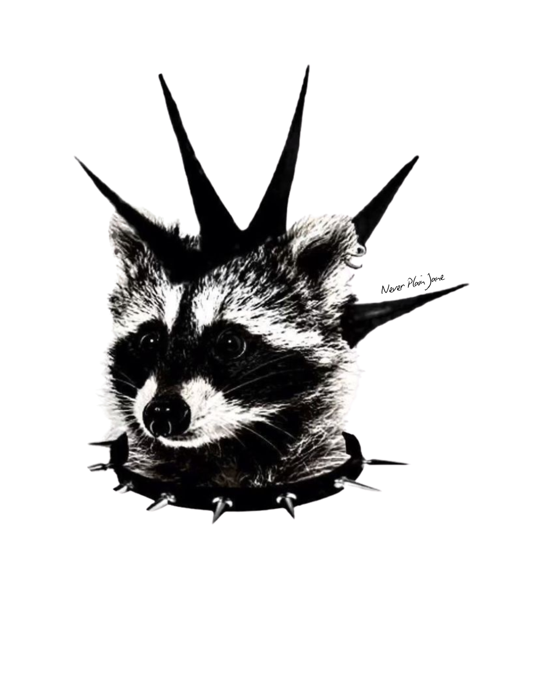 Punk Raccoon graphic