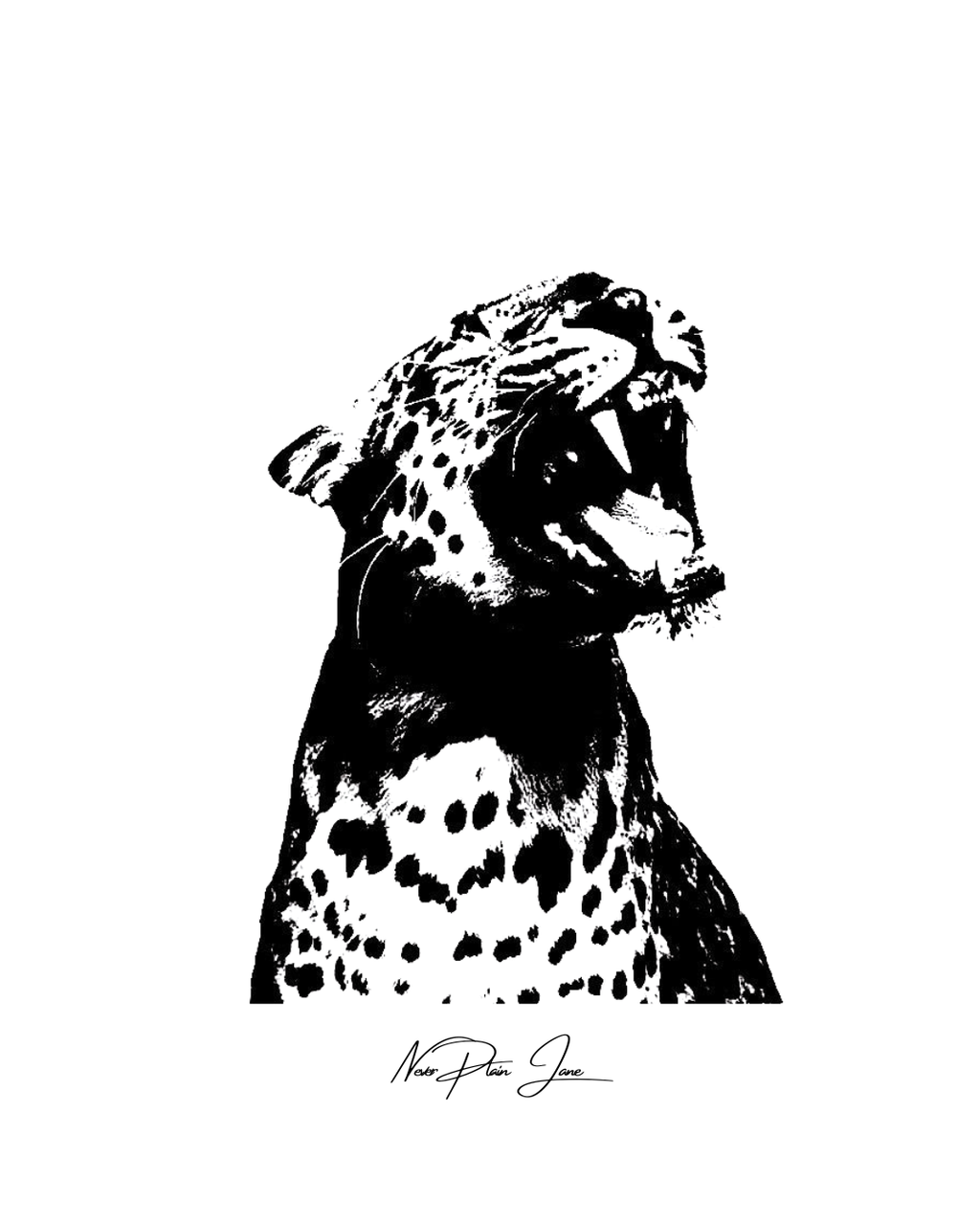 Big Kitty graphic