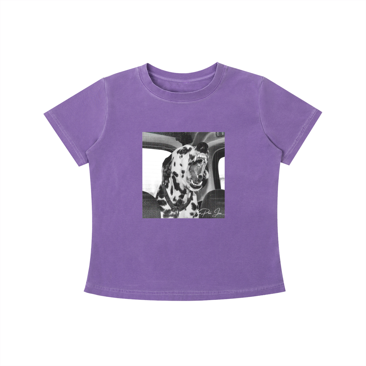 Road Dog Vintage Baby Tee