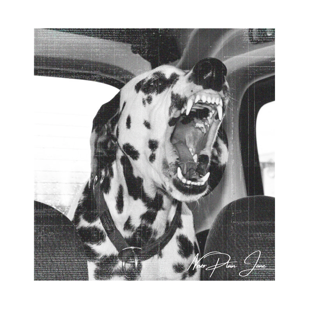Road Dog graphic